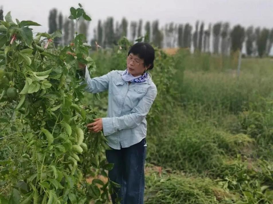 1762167254658727.png 1762167254658727.png